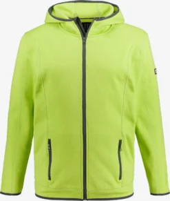 Sweatvesten Met Capuchon Sweatvest Heren Limoen