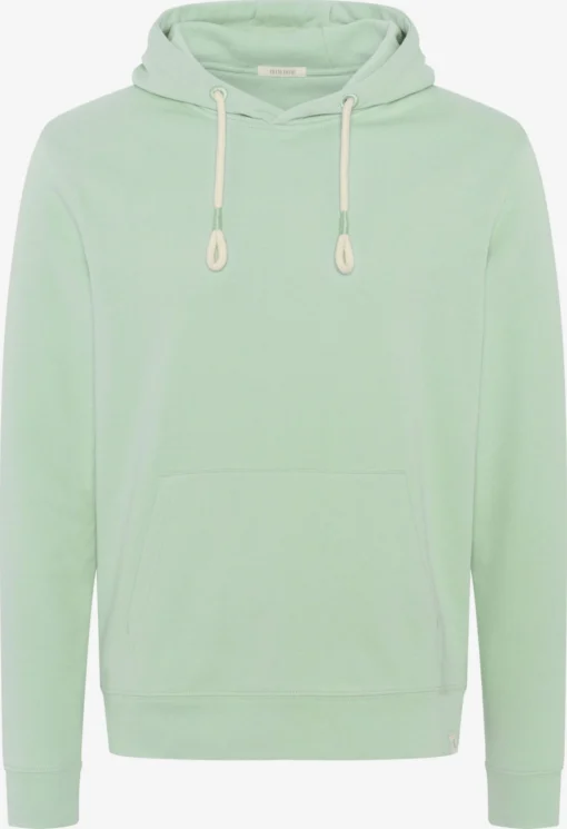 Hoodies Sweatshirt Heren Mintgroen