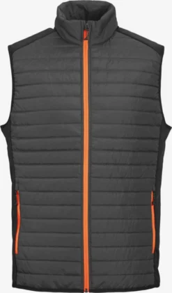 Jack & Jones Bodywarmers Bodywarmer Heren Antraciet / Basaltgrijs