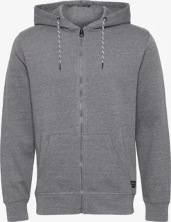 Sweatvesten Met Capuchon Sweatvest OLIAS Heren Grijs