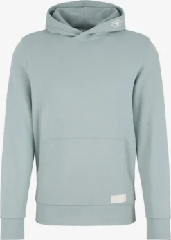 Tom Tailor Hoodies Sweatshirt Heren Pastelblauw