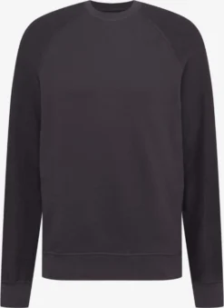 TOM TAILOR Denim Sweatshirts Sweatshirt Heren Antraciet